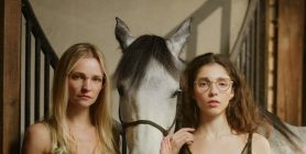 Dlaczego AVO przyciąga świadomych klientów premium?